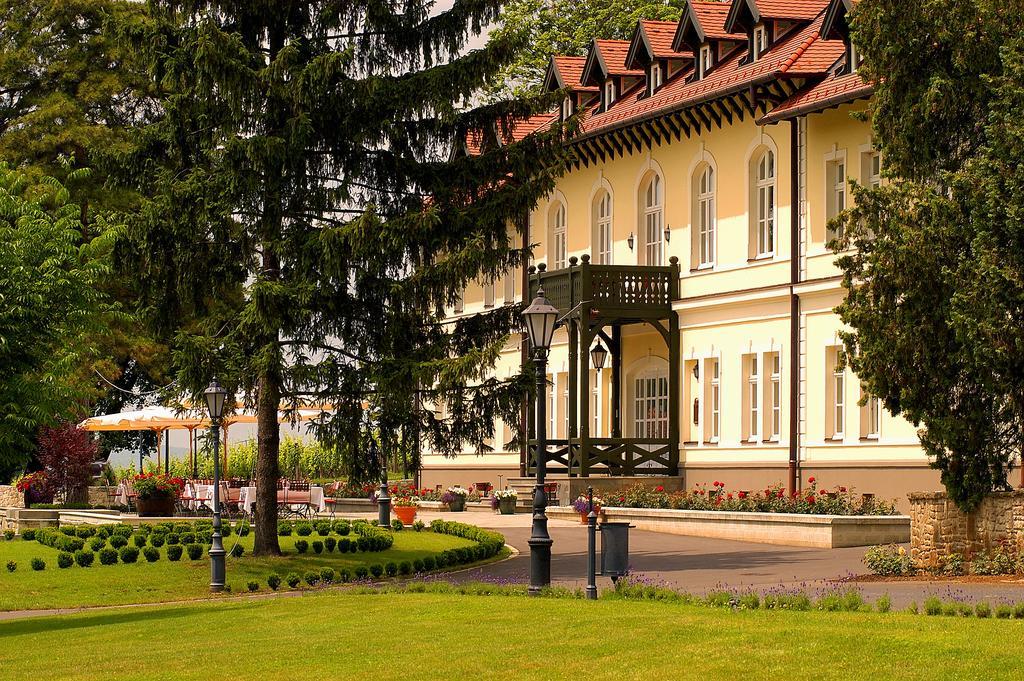 Castle Hotel Grof Degenfeld Superior Tarcal Bagian luar foto